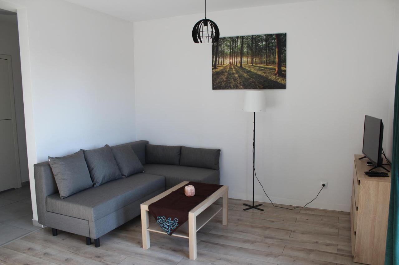 Apartament Fibra Freddo Рибник Екстериор снимка